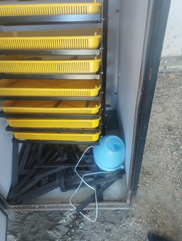 Inkubator 1000 инкубатор 1000