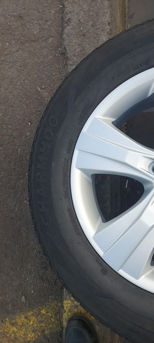 18 kaptiva2 diska balon xolati zõr