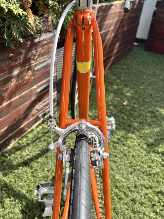 Cursiera Eddy Merckx Molteni Tribute ~1976