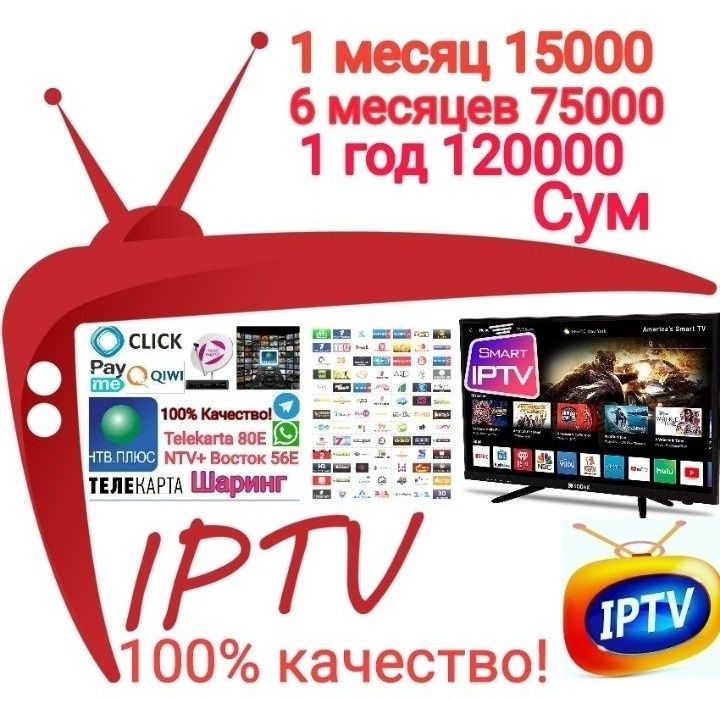 Telekarta 80 gradus, iptv