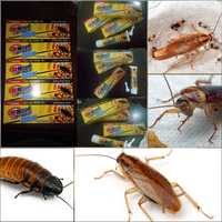Корейские гель большой 60грамм от тараканов