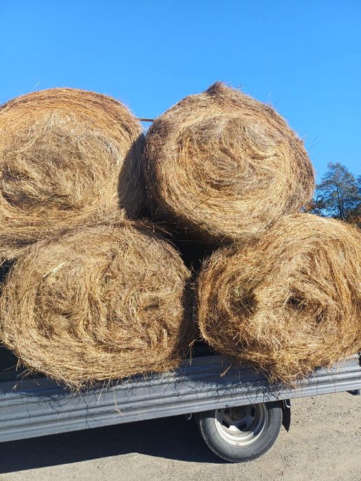 Vând baloți de fân!