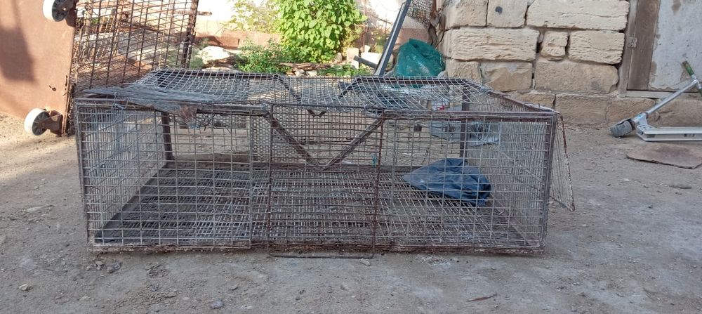 Балапаннын сеткалары сатылады.