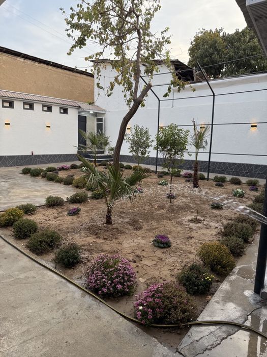 uy sotilad 3 sotik tayor bartiram bor domga qorasaroy atrofida