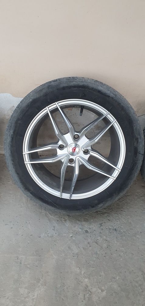 Vossen diska 16 lik