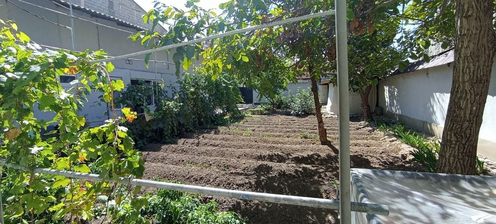 Участок олмос Яккатол 5.35 соток