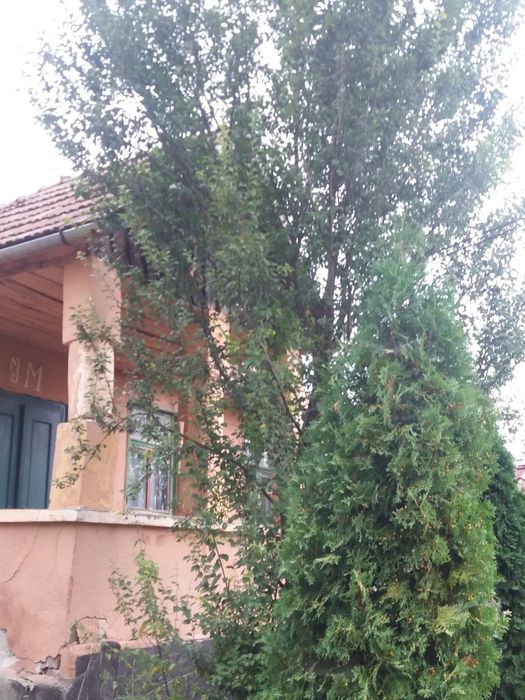 Casă și teren Sânmihaiul de Câmpie, BN