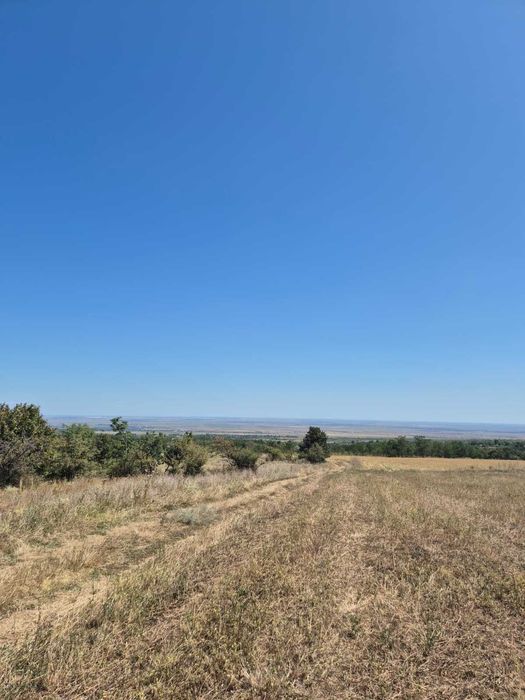 Vand teren extravilan 3 ha Livada Mare, Comuna Grebanu, jud Buzau