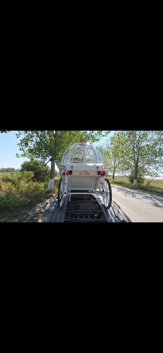 Trasura glob!trasura