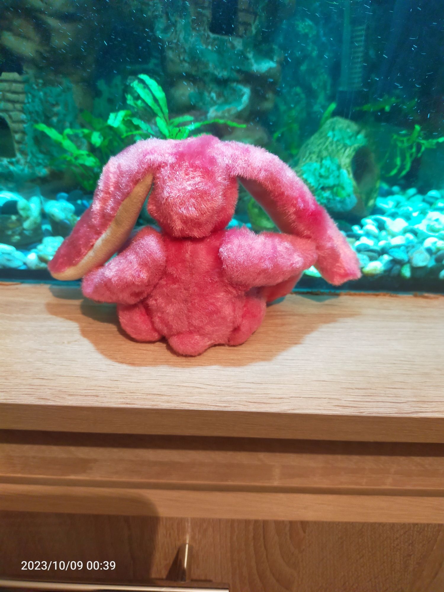 Сказочная розовая крольчиха