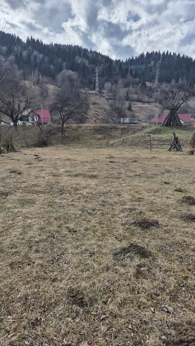 Teren in Savinesti, Poiana Teiului, Neamt
