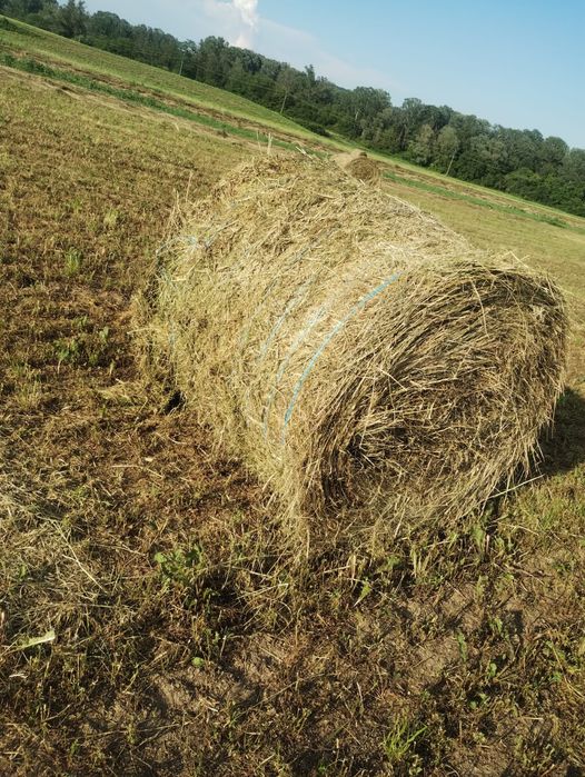 Baloti prima coasă 120/120