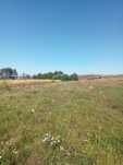 Vând teren intravilan 1800m² -Saucenița,drum asfaltat 10€ m²