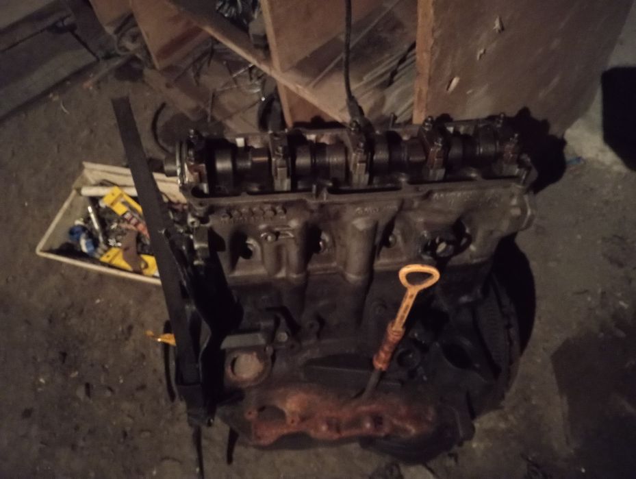 продам 2 галовка Мона