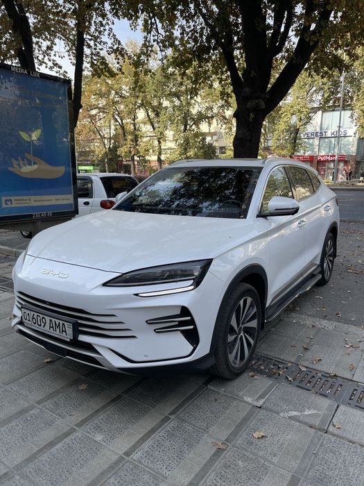 Byd Champion гибрид