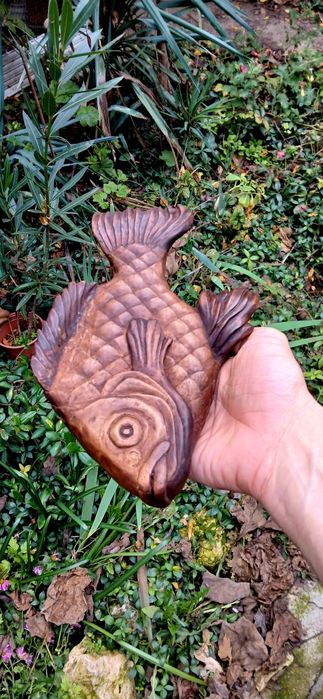 Две Пана риба гъбки - орех