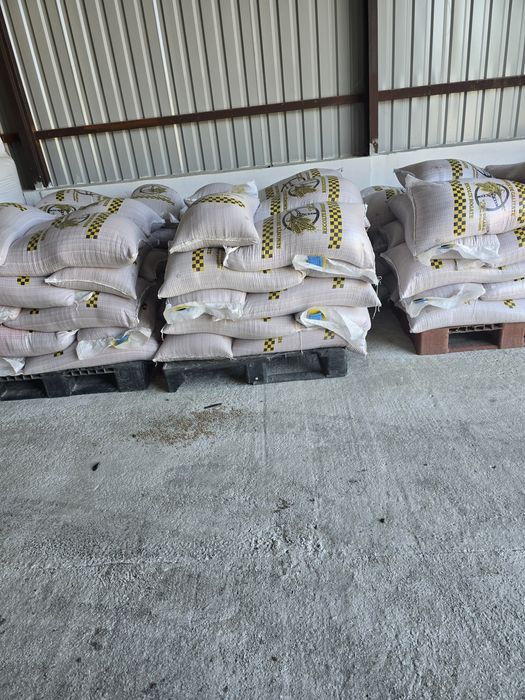 Vând sămânță de  grau