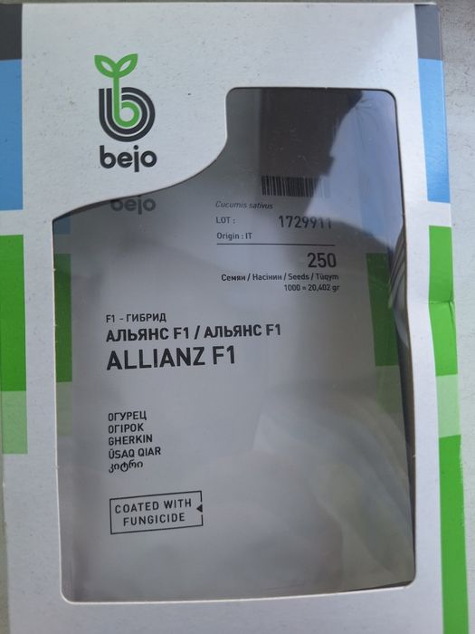 Продам семена огурцы Голландский