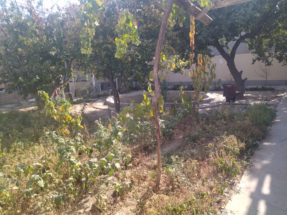 Ассаламу алейкум участка сотилады 21.7 сотиг продается участок