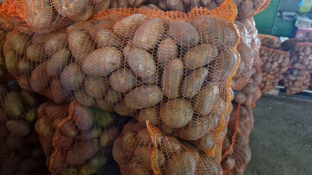 Cartofi calitatea 1,, alb Carrera și Captiva