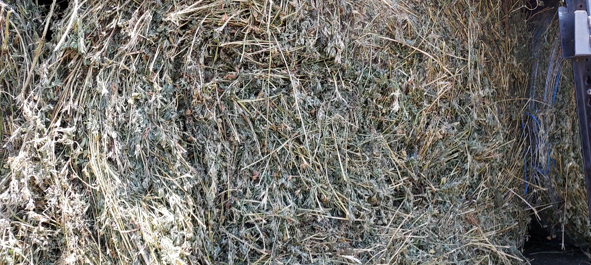 De vânzare! Baloți lucernă rotund,fân rotund, dreptunghiular!