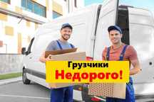 Грузчики Алматы Недорого