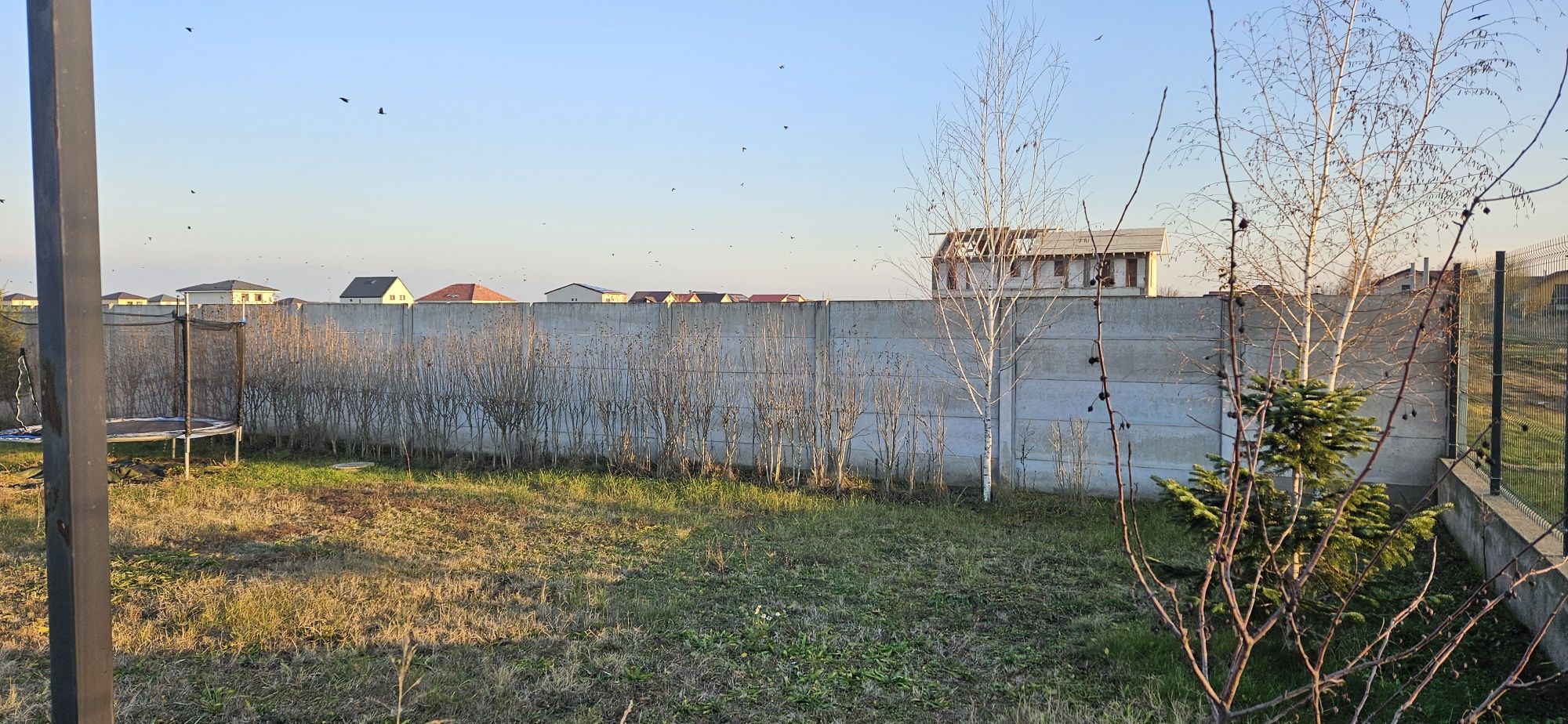Teren intravilan incluzand casuta gradina+ utilitati, Magurele,