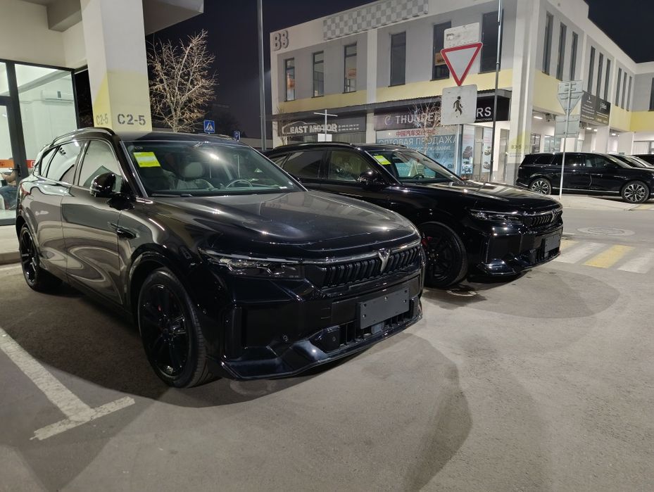 Voyah free apollo tech 318 restaling