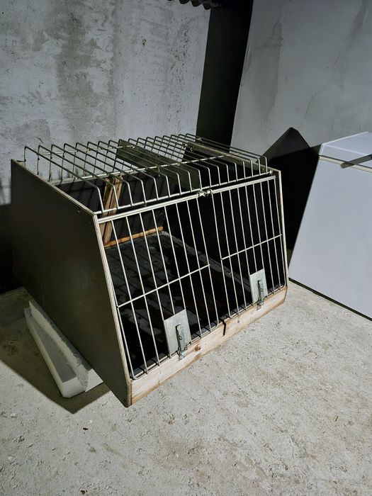 Cusca transport câini