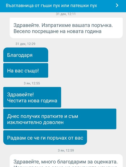 Възглавница от гъши пух или патешки пух