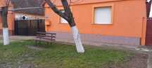 Proprietar , vand casa cu teren in Giarmata Mare