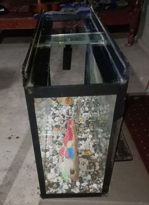 Akvarium akvarium