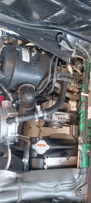 Damas 2024 holati yangi