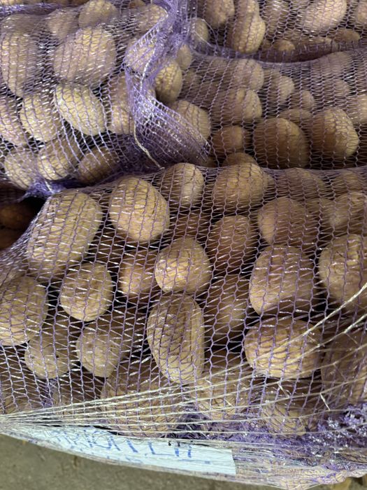 Cartofi olandezi calitate premium