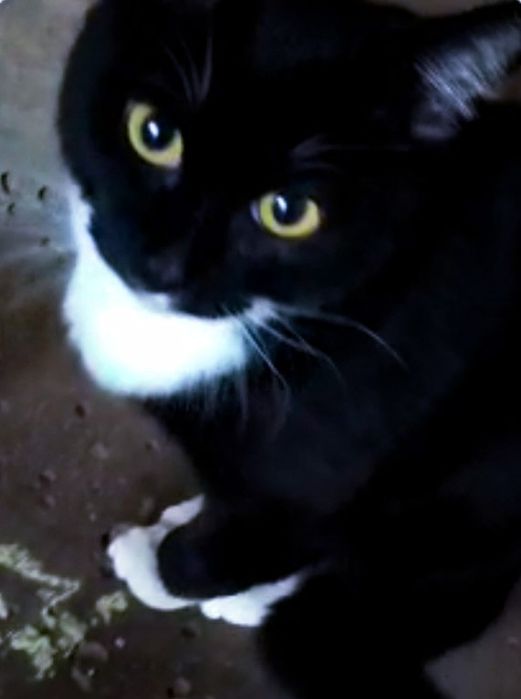 Маленькое счастье ищет большой дом