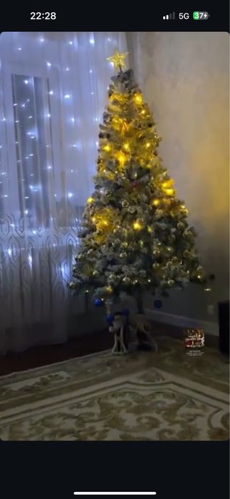 Продам елку в хорошем состоянии