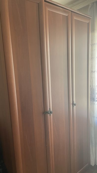 Даром / бесплатно /тегін
