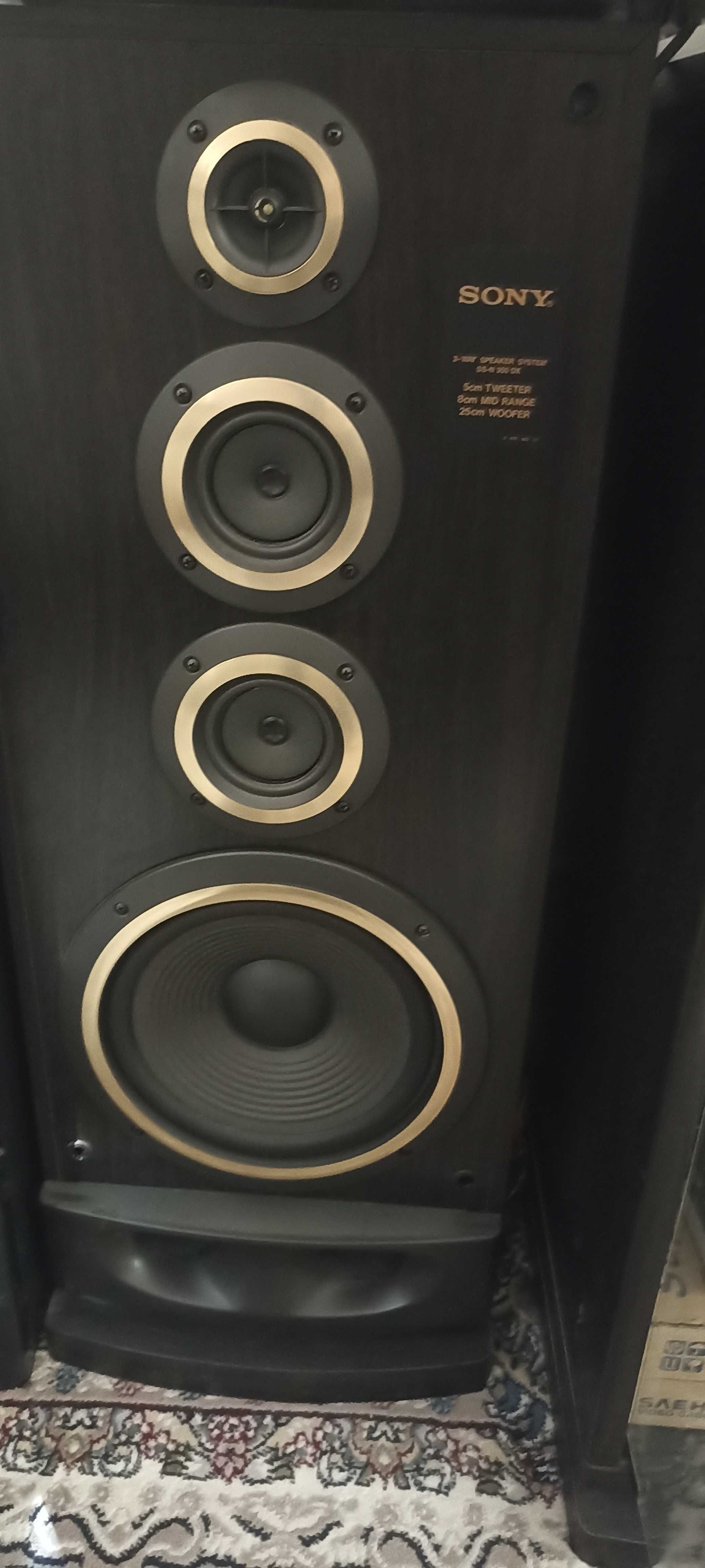 Sony SS-N350DX LBT-N 350K

400 у.е