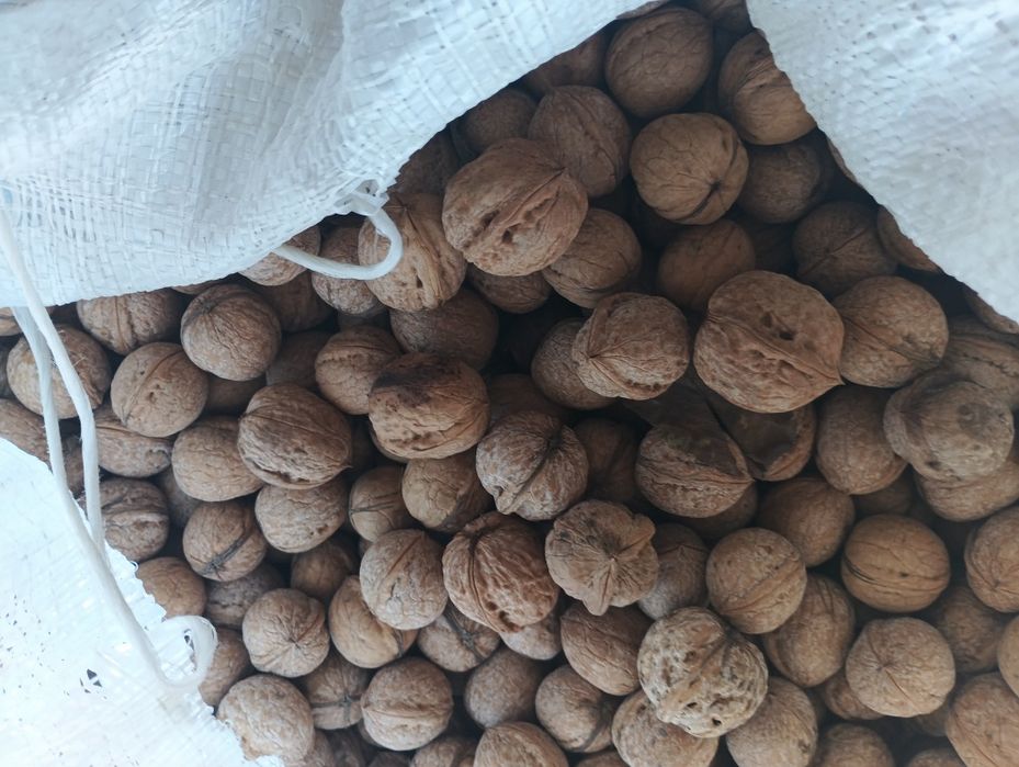 Продаётся домашние орехи
