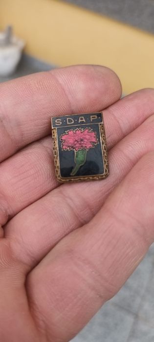 Insigna veche,detalii in fotografii
