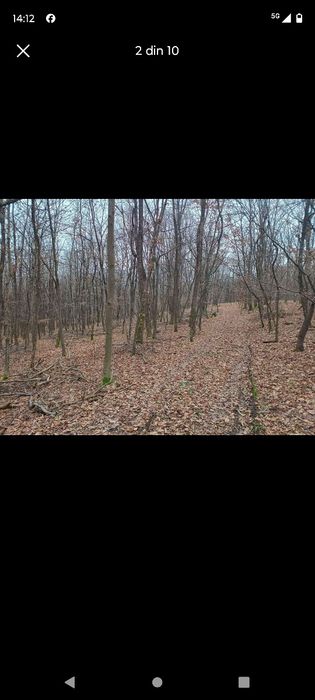 De vânzare Pădure  13 000 Mp,Josani, Peștișu Mic, Hunedoara