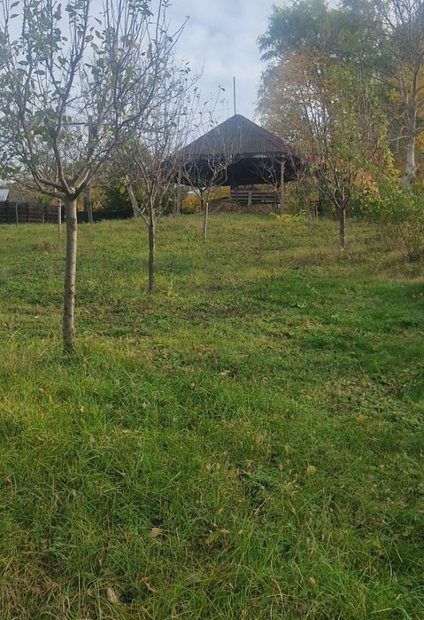 Teren intravilan 2875 mp Barnova