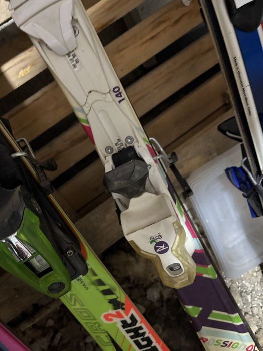 Schiuri adulti si copii