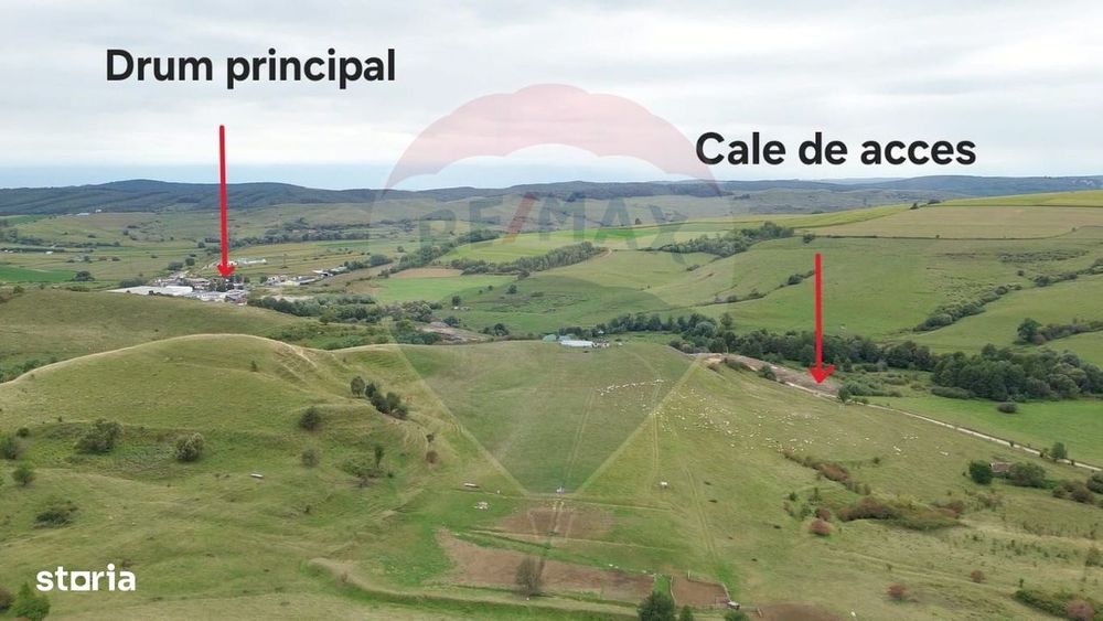 Teren de vanzare, 65 hectare - Agnita