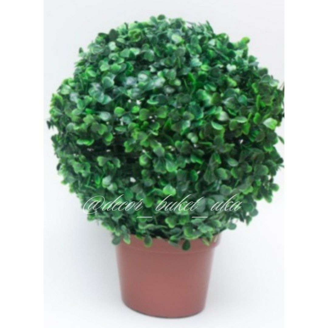 Фитокартины, декор озеленение фитопанно искуственная зелень листья