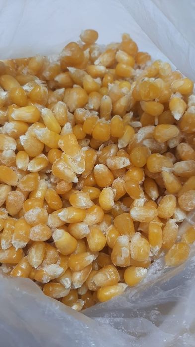 Замороженные кукуруза зерно