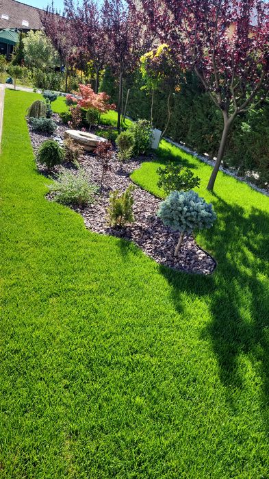 Vând piatra decorativa ornamentala