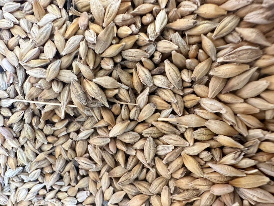 Ячмень цельная 40 кг