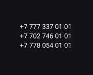 VIP номер 350 мың