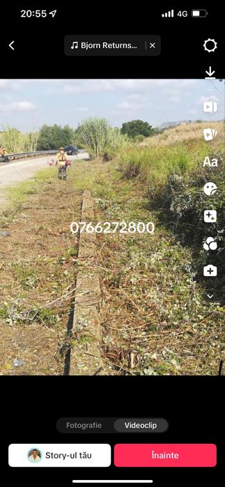 Curatare terenuri lasate in paragina